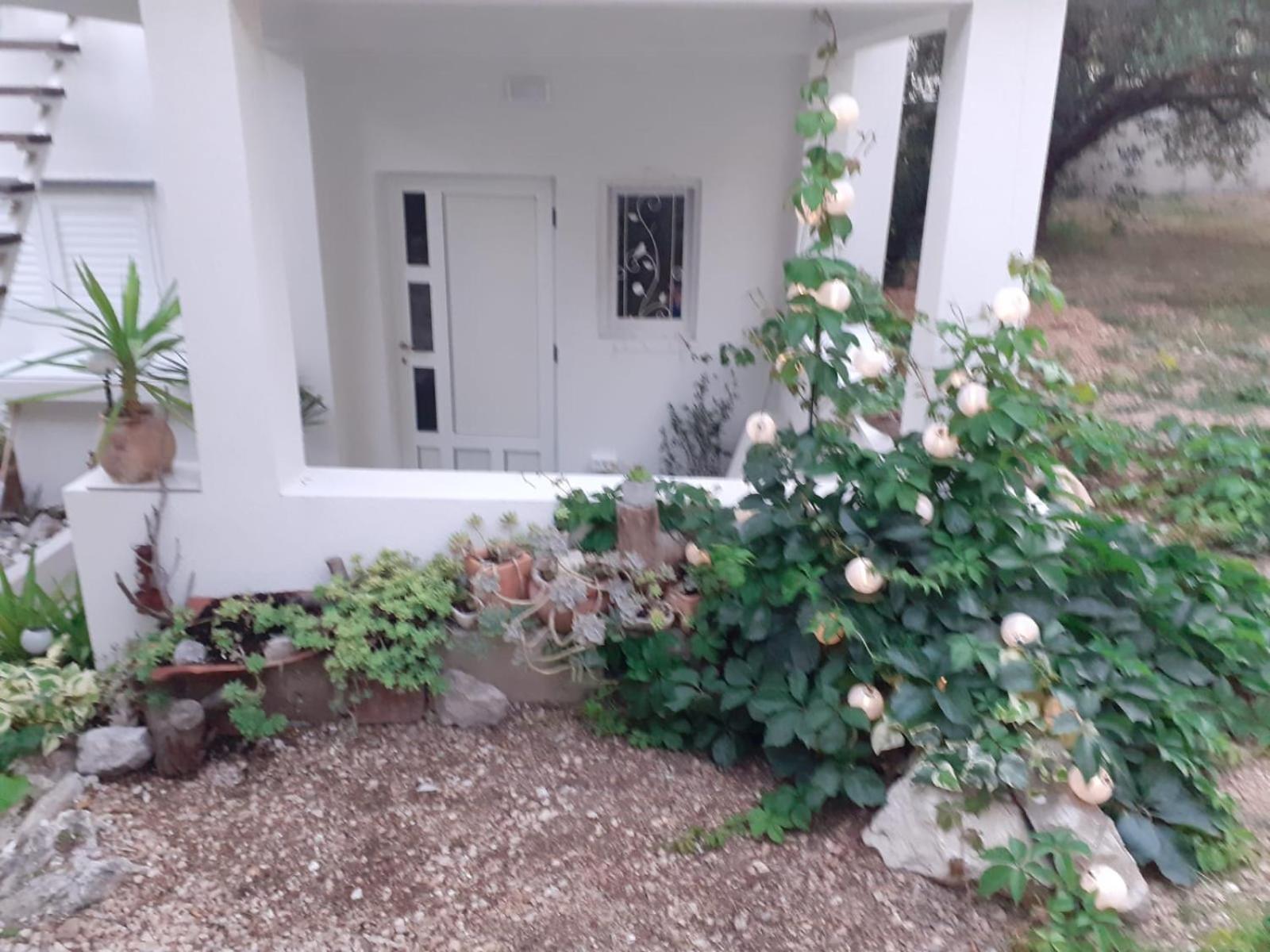 Villa Ana Makarska Pokój zdjęcie